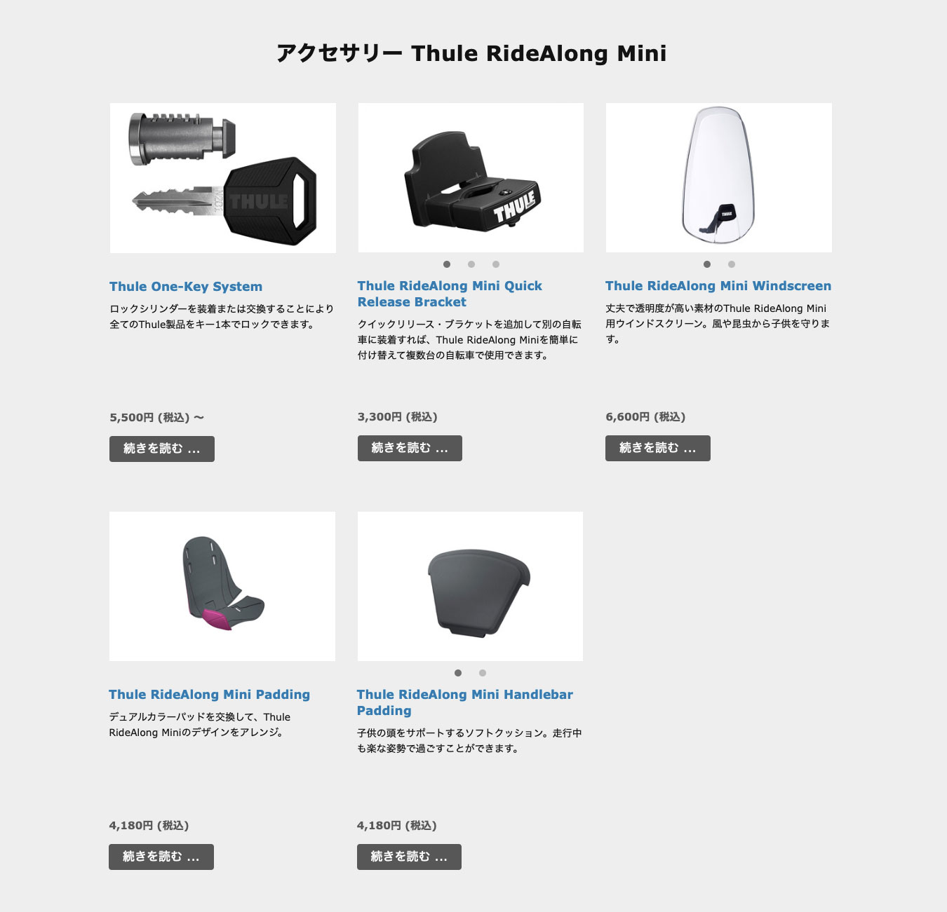 オプションも充実しててグッド。特にウインドスクリーンは寒さ対策にもなるし前に乗せるなら必須