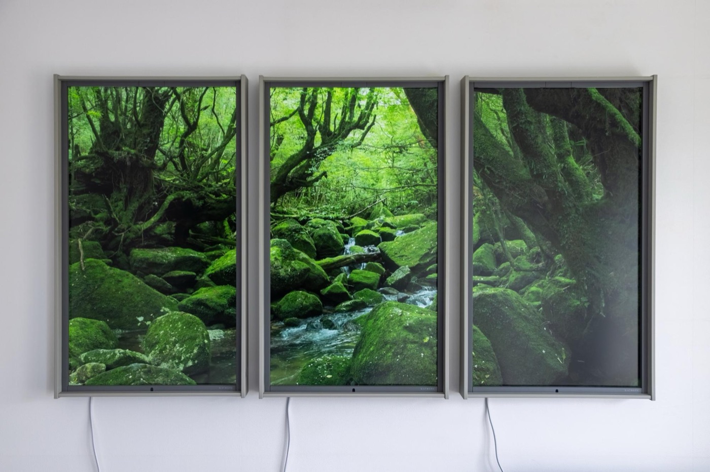 屋久島のこの風景も気に入ってますが、川の音でついウトウト...