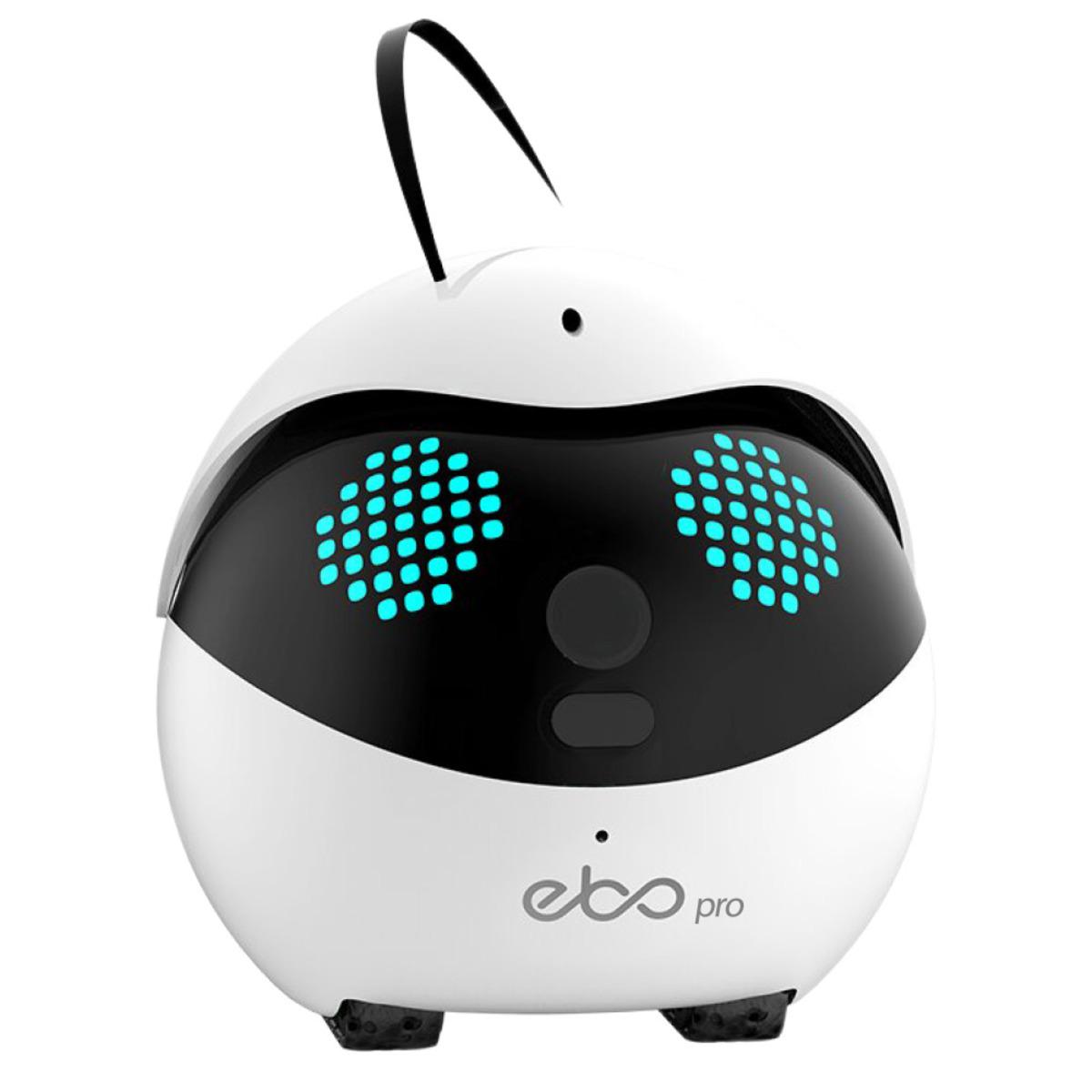 ペット用見守りロボットのebo、便利だけど見守り用途に少々不安な点も