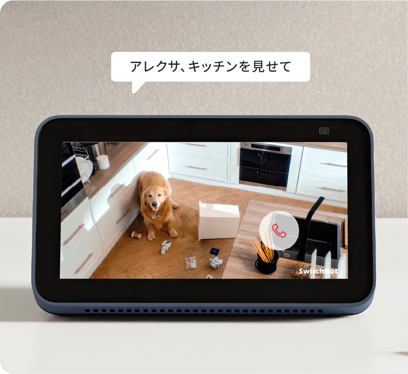 Echoとも連携できます