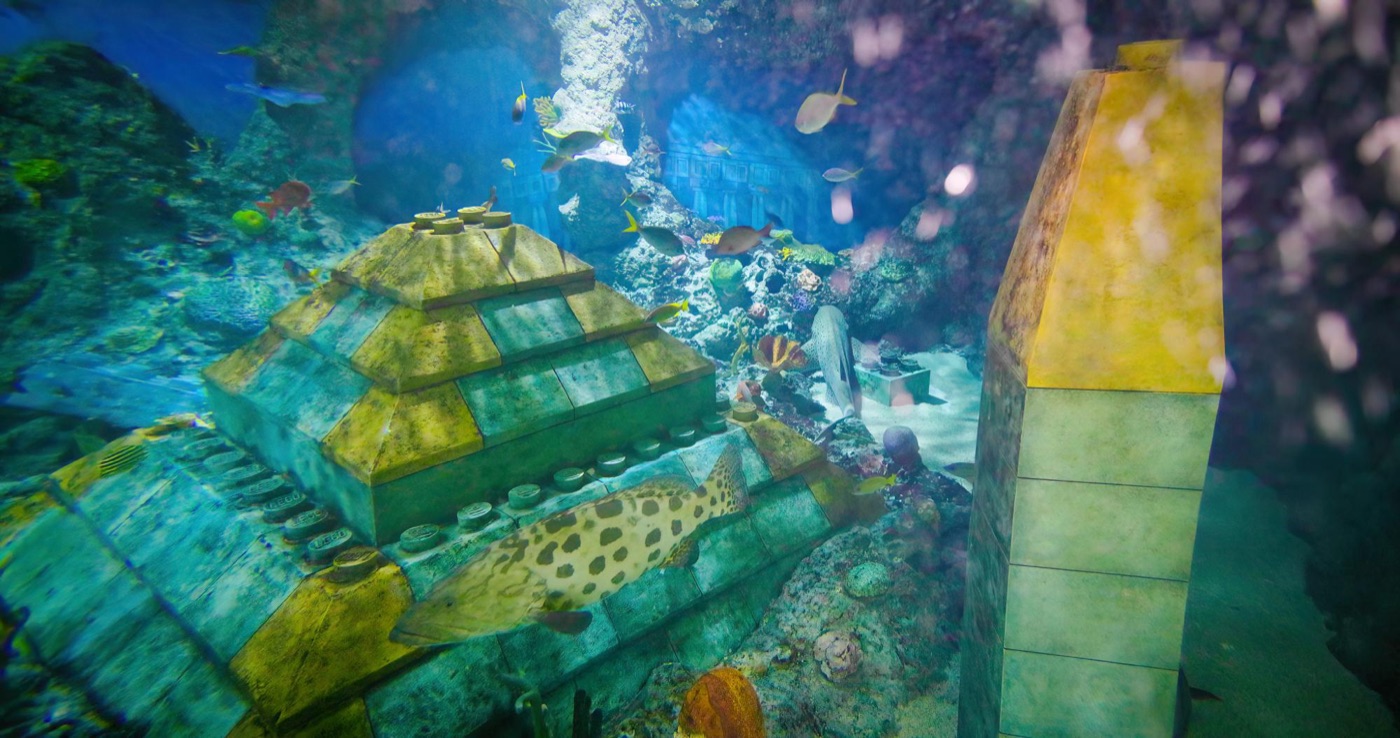 進むにつれてかなり大型の魚も