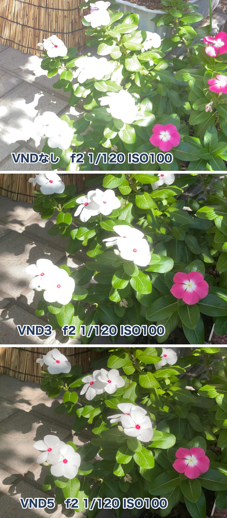 同じ露出やシャッタースピードで撮る必要はあるが違いは一目瞭然